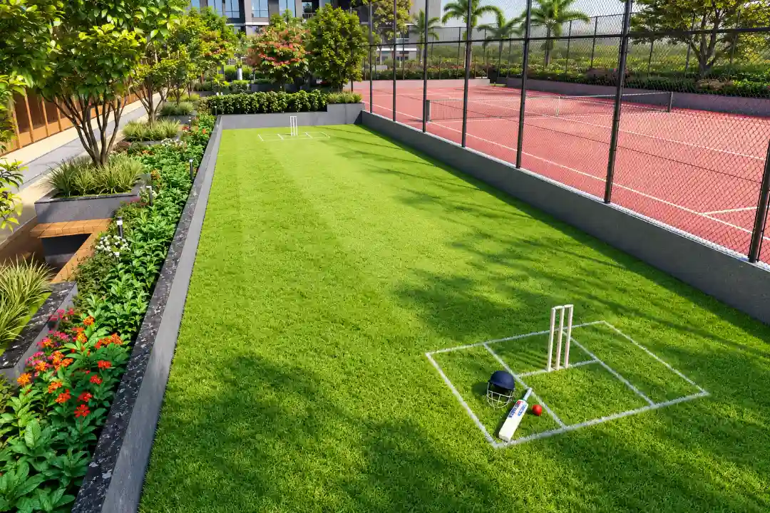 Cricket Court
